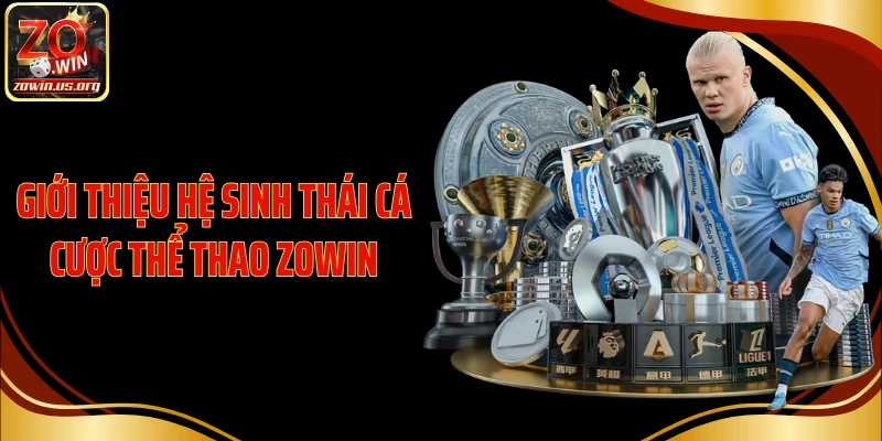 Giới thiệu hệ sinh thái cá cược thể thao Zowin
